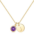 Hidepoo Initial Birthstone Necklace for Women 14K Gold Plated Disc Initial J Necklace Amethyst Birthstone Disc Initial Pendant Necklace February Birthstone Jewelry Necklaces for Women