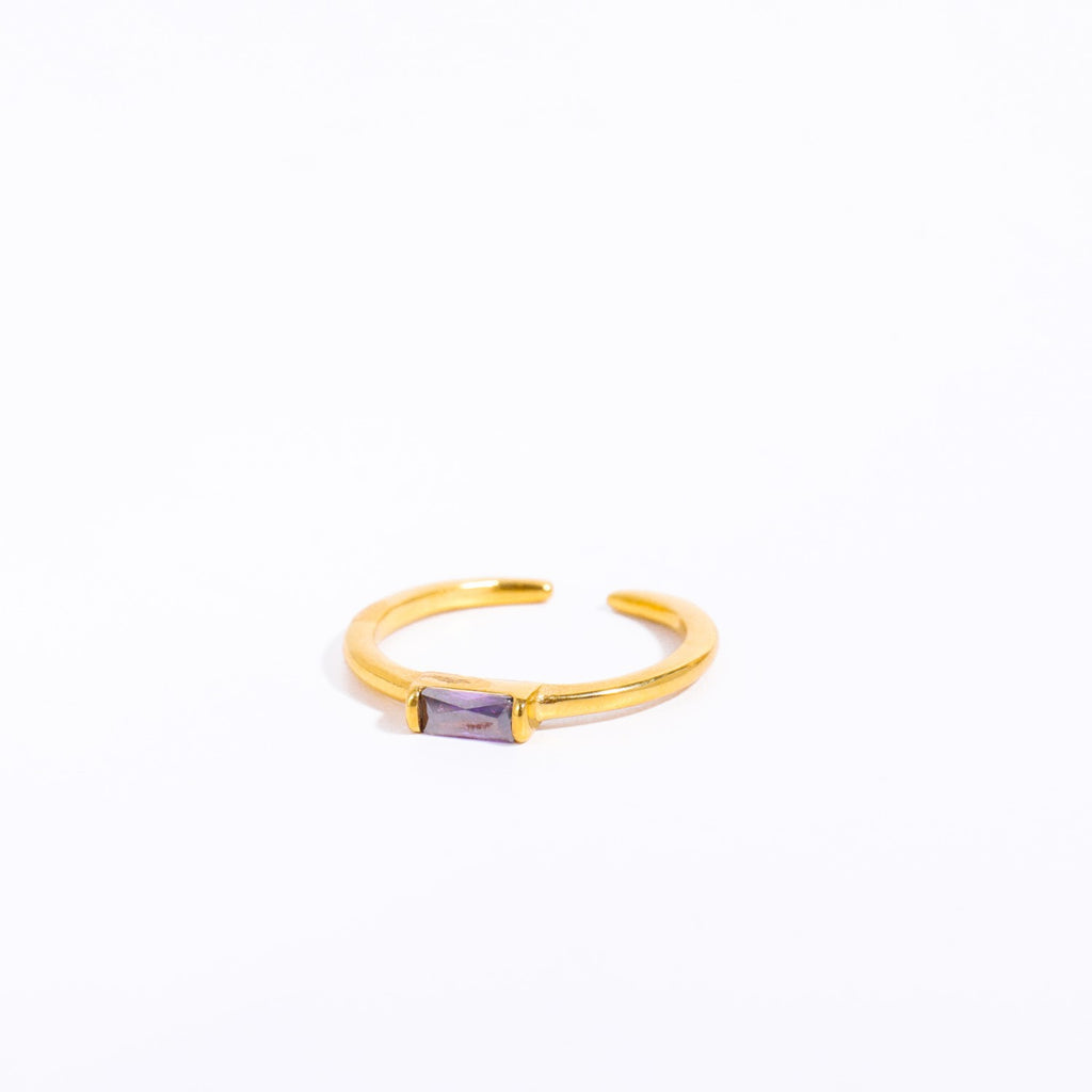 18K Gold Plated Birthstone Titanium Steel Ring
