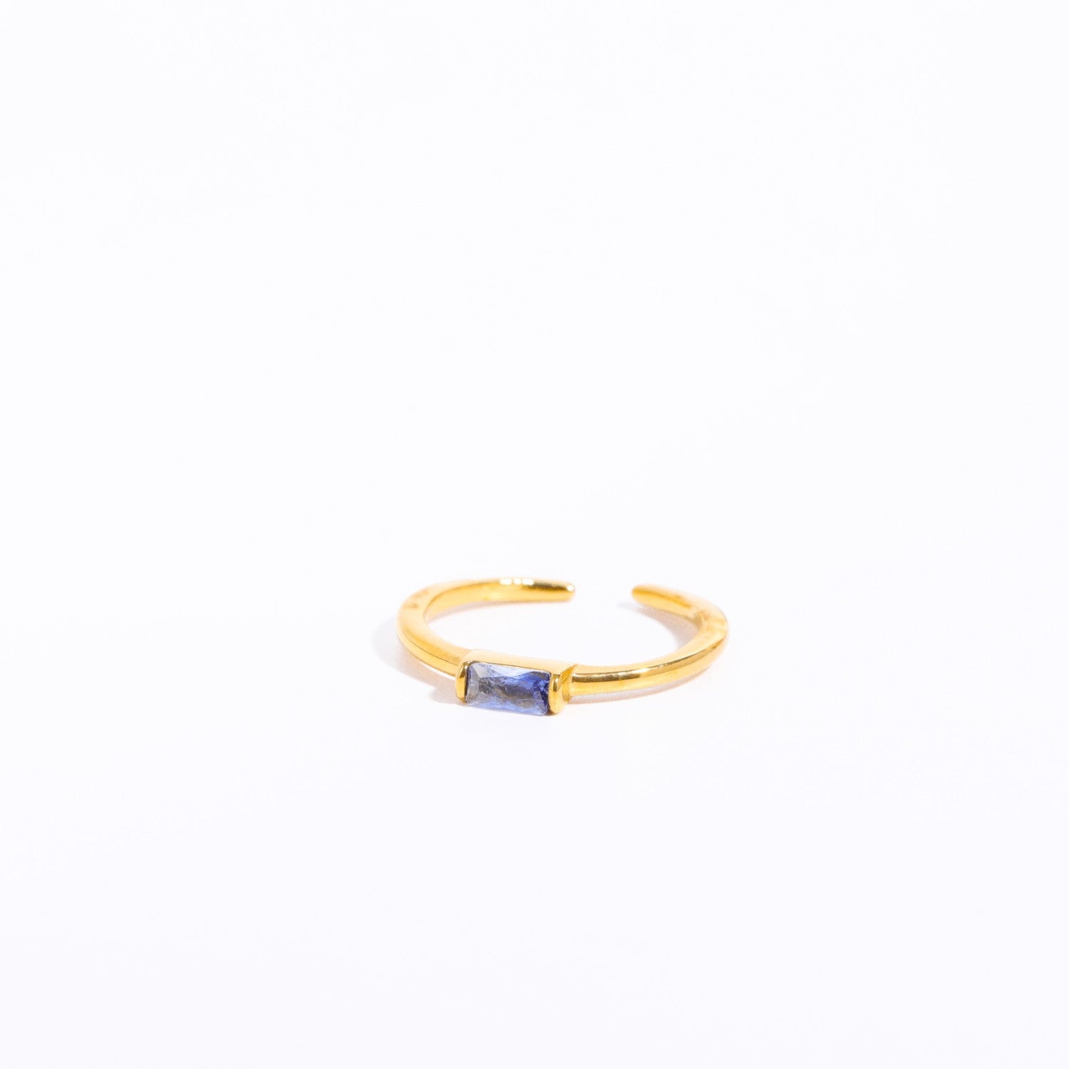 18K Gold Plated Birthstone Titanium Steel Ring