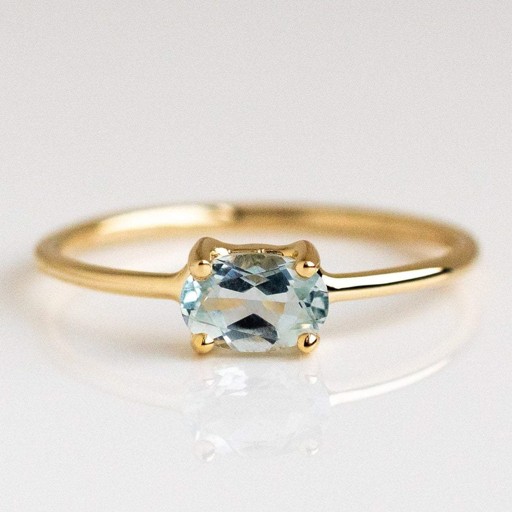 December Birthstone Ring | 18K Gold Stainless Steel
